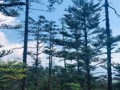 -玉龙雪山游客服务中心