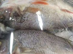 -新疆风味冷水鱼庄(友谊峰路店)