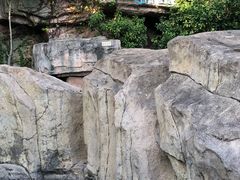 -海口观澜湖火山温泉谷