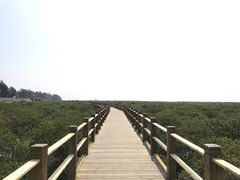 -北海金海湾红树林生态旅游区