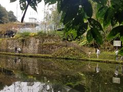 -云南屏边大围山国家公园