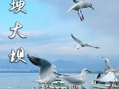 -海埂大坝