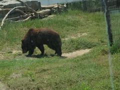 -祥源·阜阳生态乐园