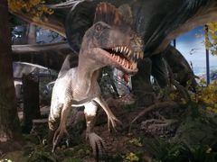 -湖南省地质博物馆