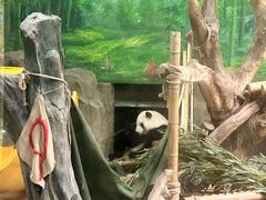 -灵玲国际马戏城