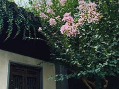 -惠山古镇·寄畅园