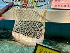 -金百门·顺德海鲜酒家(陈村店)