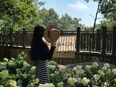 -沂蒙山旅游区云蒙景区(蒙山国家森林公园)