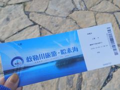 -哈素海