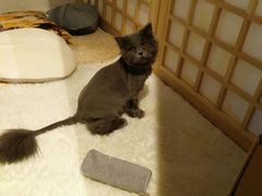 -小时光咖啡馆(开森度假森林店)