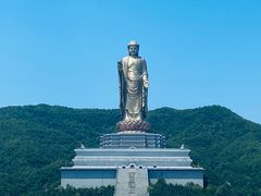 -中原大佛景区