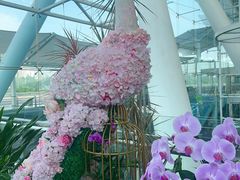 -重庆江北国际机场-T2航站楼