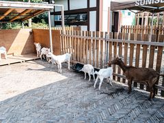 -太阳岛度假酒店