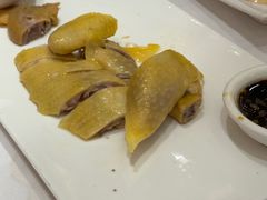-宝园酒家(美林M·LIVE天地东座店)