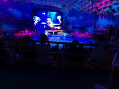 -海合安武汉极地海洋公园