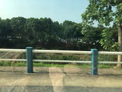 -合肥滨湖国家森林公园