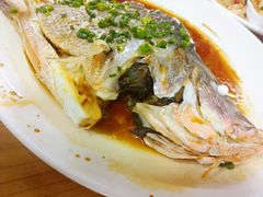 清蒸老虎斑-明记海鲜大排档(巽寮湾店)
