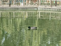 -丰台花园