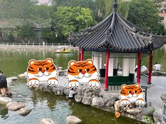 -莲湖公园