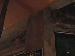 -毛辣果·酸