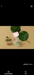 -十孕纪高端孕妇亲子摄影