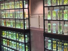 -广东中医药博物馆
