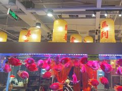 -朱光玉火锅馆(正弘城店)