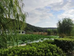 -龙寺生态园