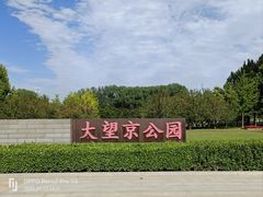 -大望京公园
