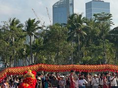 -万绿园