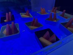 -福州天元国际威斯汀酒店·中国元素餐厅