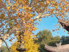 -钱王祠