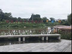 -陶辛水韵