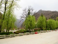 -牛背梁国家森林公园