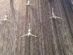 -迪拜水族馆及水下动物园