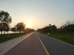 -武清南湖绿博园