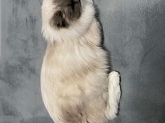 -零纪元VR体验馆·桌游(黄浦店)