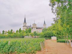 -北京张裕爱斐堡酒庄