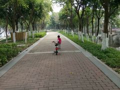 -怡海公园(桂城街道)