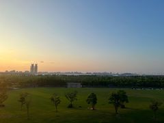 -春花秋色城市公园