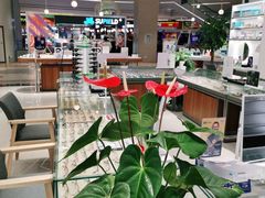-宝岛眼镜(南京金鹰世界店)