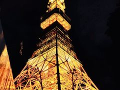 -六本木新城展望台(东京城市景观)