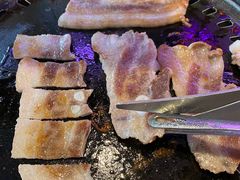 -杨小佳·齐齐哈尔烤肉·烤串(广州店)