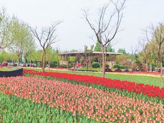 -廊坊文化艺术中心