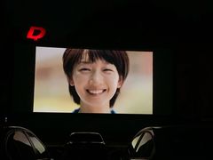 -枫花园汽车电影院(朝阳公园店)