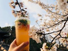 -鸡鸣赐茶(鸡鸣寺路店)