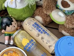 -冰椰岛椰冰(亚龙湾店)