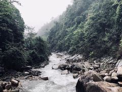 -姑婆山旅游区