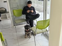 -艾吉宠物医院·疑难杂症转诊中心·猫友好(碧江路院)