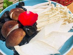 -青瓷火锅料理(西单大悦城店)